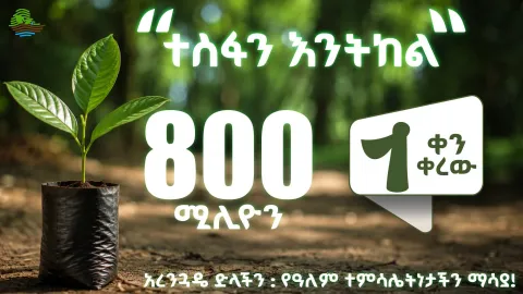 Green Legacy Ethiopia